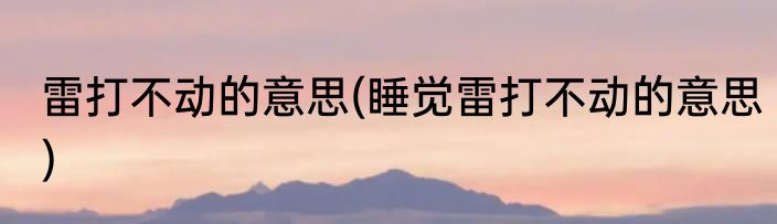 雷打不动的意思(睡觉雷打不动的意思)