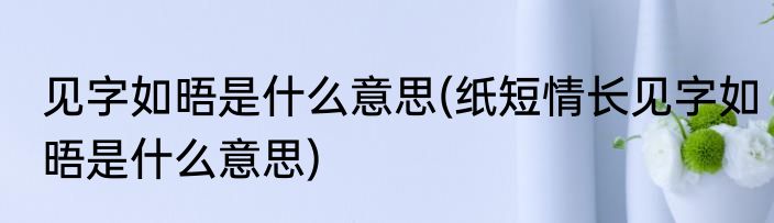 见字如晤是什么意思(纸短情长见字如晤是什么意思)