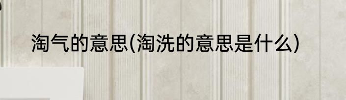 淘气的意思(淘洗的意思是什么)
