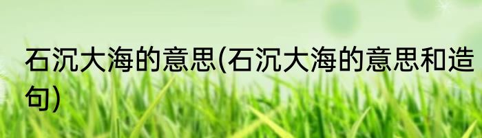 石沉大海的意思(石沉大海的意思和造句)
