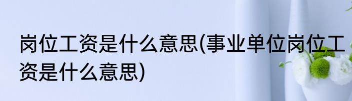 岗位工资是什么意思(事业单位岗位工资是什么意思)