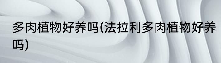 多肉植物好养吗(法拉利多肉植物好养吗)