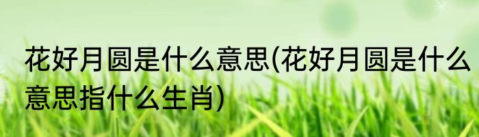 花好月圆是什么意思(花好月圆是什么意思指什么生肖)
