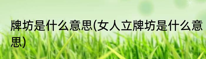牌坊是什么意思(女人立牌坊是什么意思)