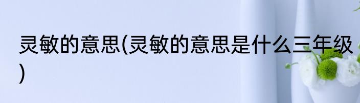 灵敏的意思(灵敏的意思是什么三年级)