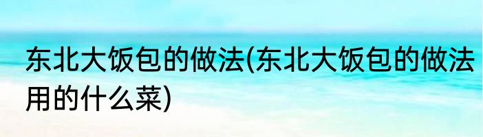 东北大饭包的做法(东北大饭包的做法用的什么菜)