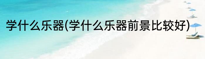 学什么乐器(学什么乐器前景比较好)