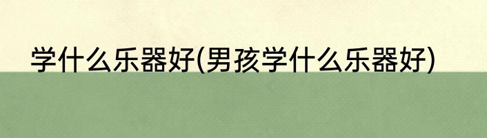 学什么乐器好(男孩学什么乐器好)