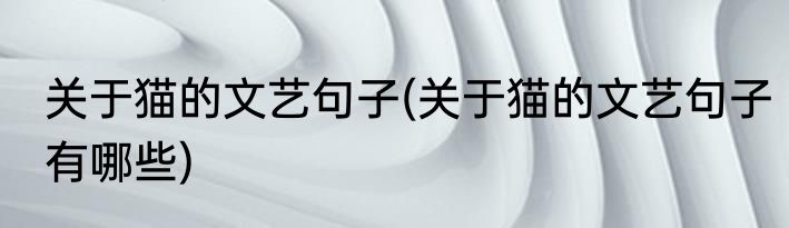关于猫的文艺句子(关于猫的文艺句子有哪些)
