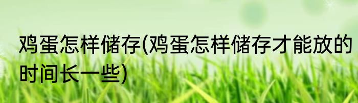 鸡蛋怎样储存(鸡蛋怎样储存才能放的时间长一些)