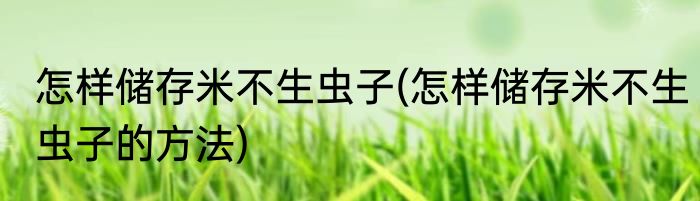 怎样储存米不生虫子(怎样储存米不生虫子的方法)