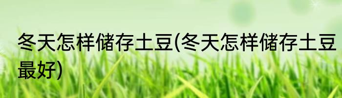 冬天怎样储存土豆(冬天怎样储存土豆最好)