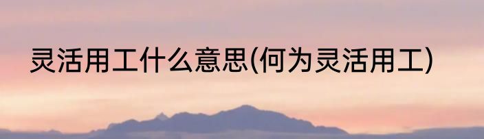 灵活用工什么意思(何为灵活用工)