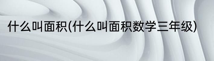 什么叫面积(什么叫面积数学三年级)