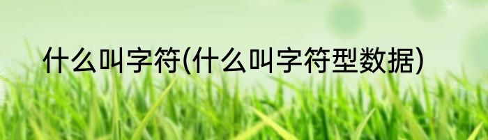 什么叫字符(什么叫字符型数据)