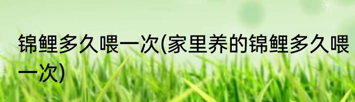 锦鲤多久喂一次(家里养的锦鲤多久喂一次)