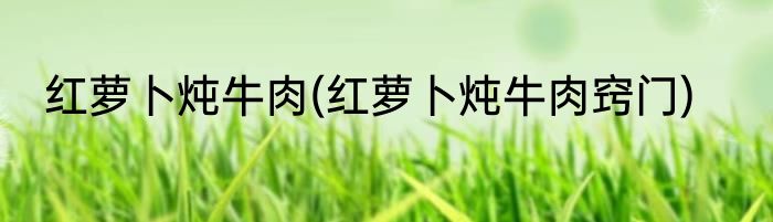 红萝卜炖牛肉(红萝卜炖牛肉窍门)