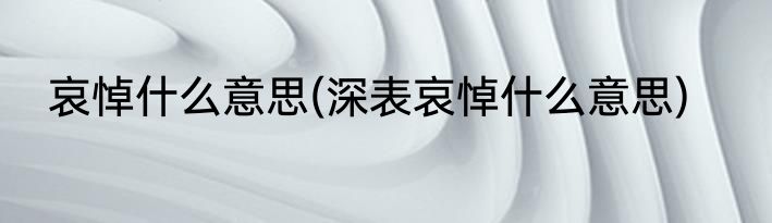 哀悼什么意思(深表哀悼什么意思)