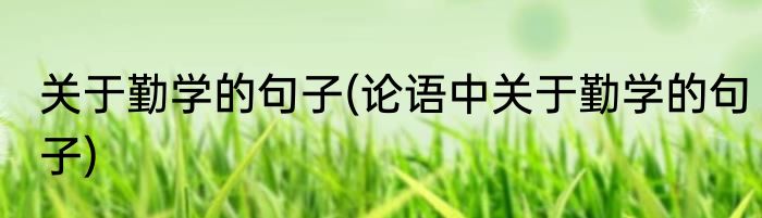 关于勤学的句子(论语中关于勤学的句子)