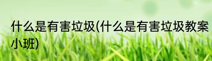 什么是有害垃圾(什么是有害垃圾教案小班)