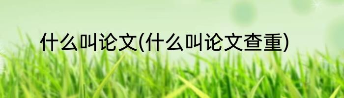 什么叫论文(什么叫论文查重)