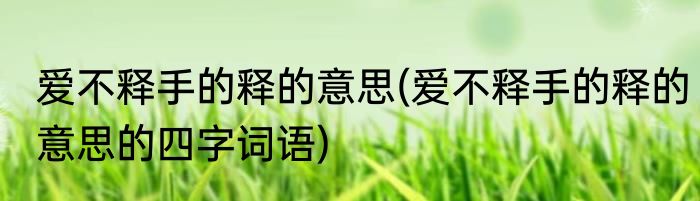 爱不释手的释的意思(爱不释手的释的意思的四字词语)