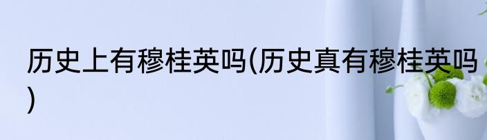 历史上有穆桂英吗(历史真有穆桂英吗)