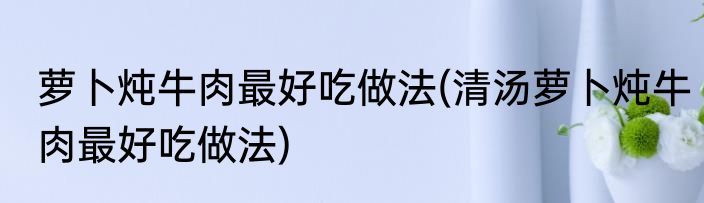 萝卜炖牛肉最好吃做法(清汤萝卜炖牛肉最好吃做法)