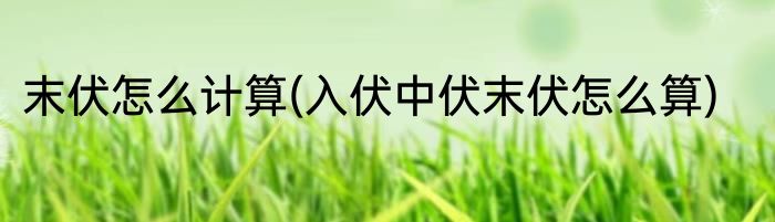末伏怎么计算(入伏中伏末伏怎么算)