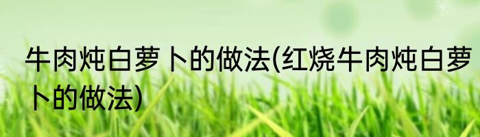 牛肉炖白萝卜的做法(红烧牛肉炖白萝卜的做法)