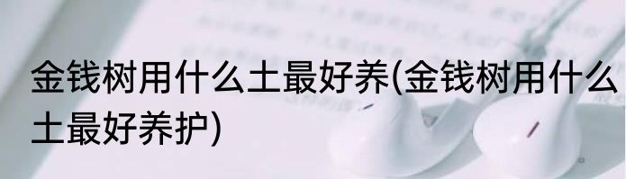 金钱树用什么土最好养(金钱树用什么土最好养护)