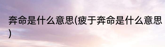 奔命是什么意思(疲于奔命是什么意思)