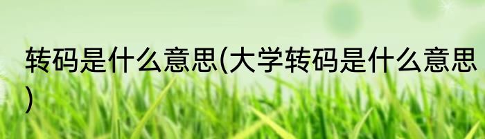 转码是什么意思(大学转码是什么意思)