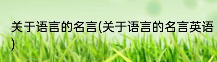 关于语言的名言(关于语言的名言英语)