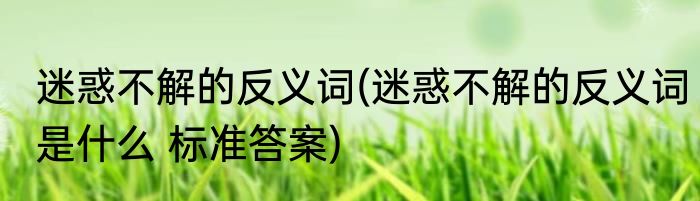 迷惑不解的反义词(迷惑不解的反义词是什么 标准答案)