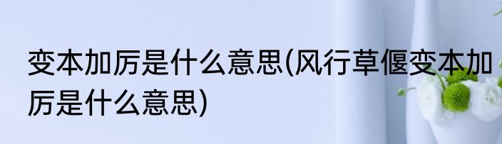 变本加厉是什么意思(风行草偃变本加厉是什么意思)