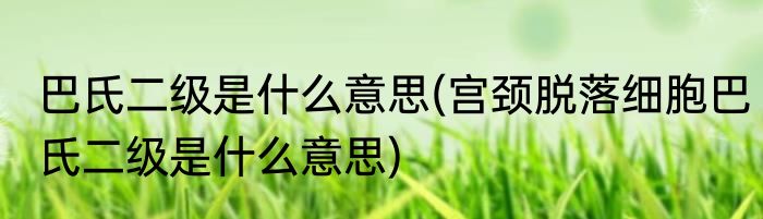 巴氏二级是什么意思(宫颈脱落细胞巴氏二级是什么意思)