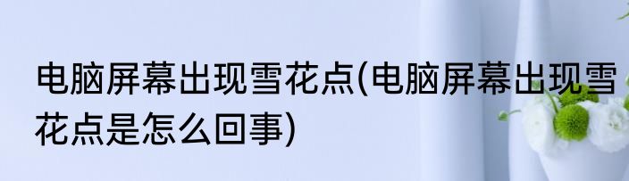 电脑屏幕出现雪花点(电脑屏幕出现雪花点是怎么回事)