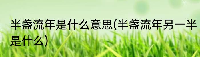 半盏流年是什么意思(半盏流年另一半是什么)