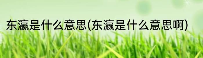 东瀛是什么意思(东瀛是什么意思啊)