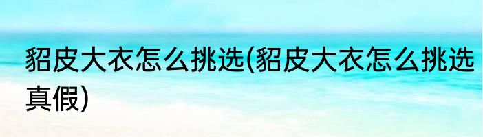 貂皮大衣怎么挑选(貂皮大衣怎么挑选真假)