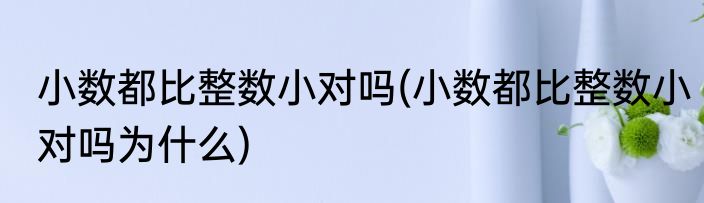 小数都比整数小对吗(小数都比整数小对吗为什么)