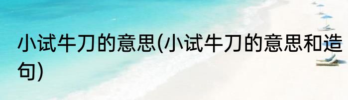 小试牛刀的意思(小试牛刀的意思和造句)