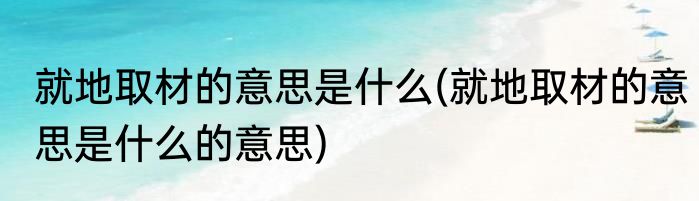 就地取材的意思是什么(就地取材的意思是什么的意思)