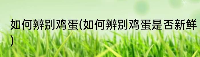 如何辨别鸡蛋(如何辨别鸡蛋是否新鲜)