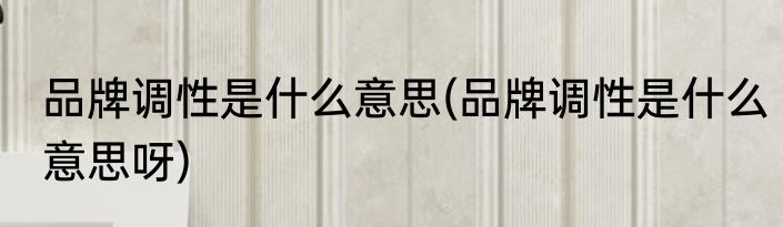 品牌调性是什么意思(品牌调性是什么意思呀)