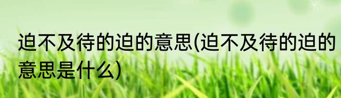 迫不及待的迫的意思(迫不及待的迫的意思是什么)