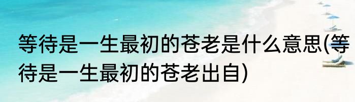 等待是一生最初的苍老是什么意思(等待是一生最初的苍老出自)