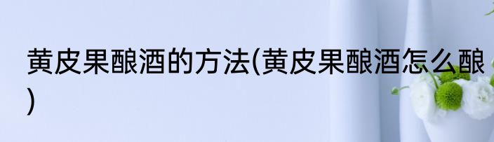 黄皮果酿酒的方法(黄皮果酿酒怎么酿)