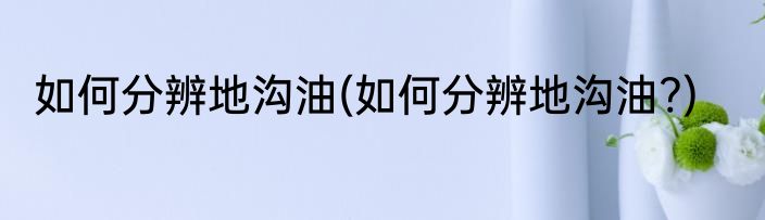 如何分辨地沟油(如何分辨地沟油?)